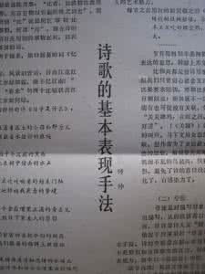 中国诗词大会议论文 〖诗词论文〗诗论十篇