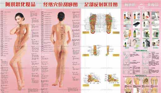 经络拔罐减肥骗局 拔罐减肥常用的腧穴、经络和春夏美容院罐疗法经典项目配方