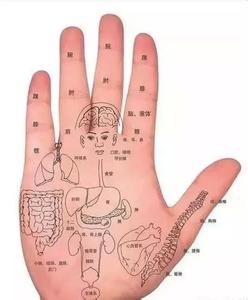 治腰椎间盘突出小窍门 小窍门：腰椎间盘突出从手掌也能看出来