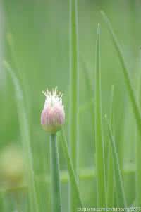 重庆细雨绵绵的照片 细雨如绵，思念无声