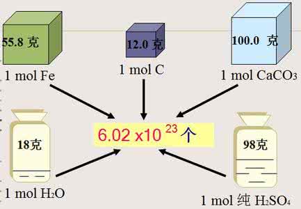 鼎盛摩尔假发价格 高一化学计量·摩尔质量和摩尔体积学案