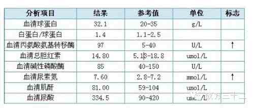 体检表 史上最全体检表、检验报告解析