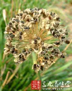 治疗小儿遗尿的偏方 【秘方偏方】治疗小儿遗尿特效偏方