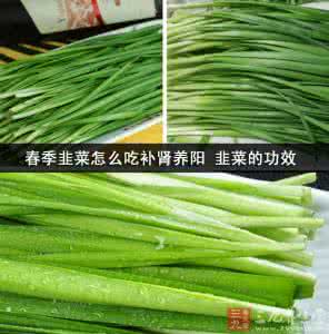 韭菜补肾阳 春季韭菜怎么吃补肾养阳 韭菜的功效