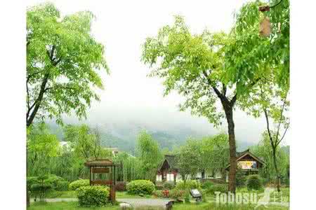 农村住宅风水大门颜色 风水住宅 不用颜色的植物在住宅中的风水作用