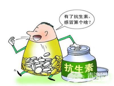 小儿抗生素药有哪些 【小儿喜讯】很适合小孩服用克服抗生素不足的退烧神药