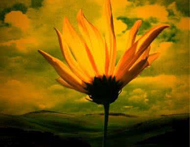 尽心无憾 一日禅丨一切随缘，尽心无憾