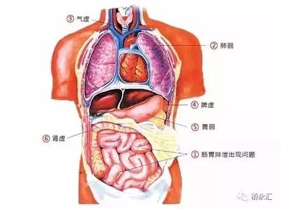 红豆杉治疗癌症药方 第三批药方(治疗癌症:食管、肺、肝、胃、肠、宫颈癌等;白血病、骨结核、肺结核、肝硬化、脑血...