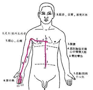 心包经 心包经通过3大养生要穴 包治百病