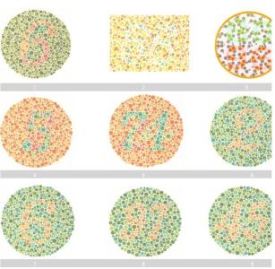 驾照体检色盲图 驾照体检色盲图 学校体检说我是色盲