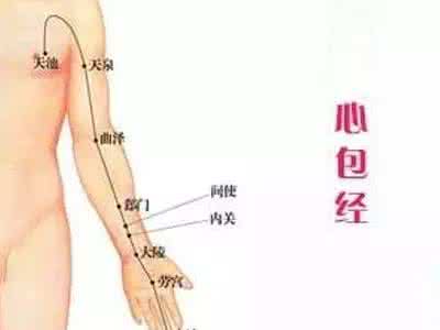 身体排毒器官 身体六器官的排毒法