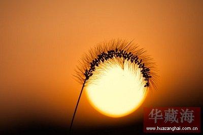 太阳经络保护养生知识 冬季养生多追着太阳走