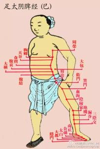 艾灸健脾祛湿 艾灸健脾祛湿 脾气大，一种病态。告诉你几个艾灸健脾穴位