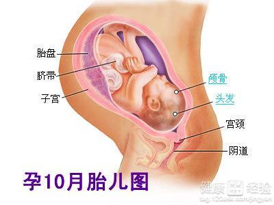 六个月引产的危害 怀孕6个月引产 怀孕六个月引产的危害大吗