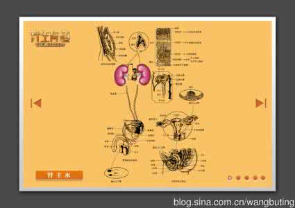 治疗脚气的中药方剂 内科方剂 治疗小便失禁中药方剂