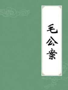 老外不考试上清华 毛公案【清·待考】