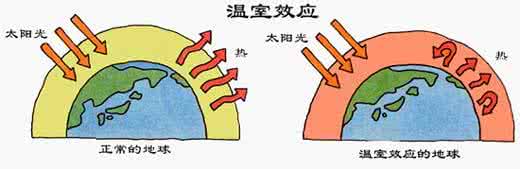 温室效应原理 温室大棚与温室效应原理是否一样？