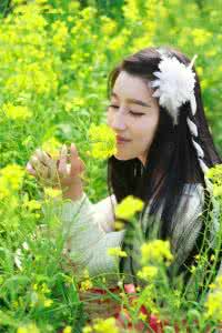 君不见陌上花开落几度 陌上花开花几许【美文】