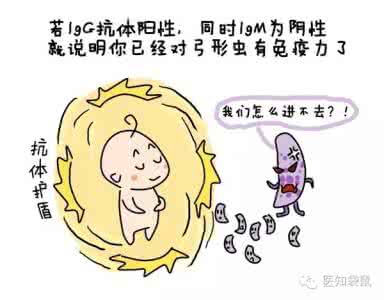 弓形虫 孕前检查 弓形虫检查 养宠物 一定要定期检查弓形虫