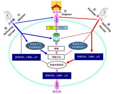 中医药抗癌 中医药治病机理 抗癌中药的两个治病机理