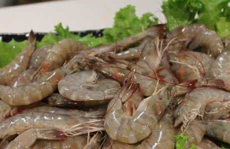 怎么判断虾新鲜 怎么判断虾新不新鲜