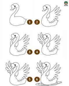 儿童简笔画天鹅 【儿童画】儿童简笔画教程05：天鹅的画法和步骤