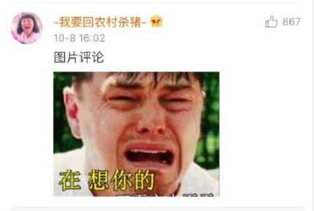 小李子微博 小李子微博 小李子一句话，整个微博都炸了！