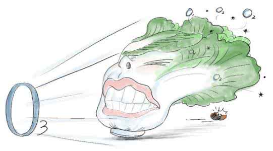 怎样去除蔬菜农药残留 怎样去除农药残留_去除农药残留有哪些妙招