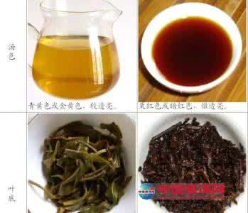普洱生茶如何变熟茶 新手如何区分生茶、熟茶?