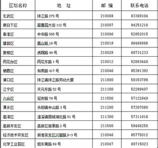 社保代理公司哪家好 南京社保网 南京社保网站摘要