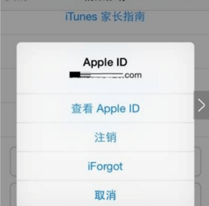 热门iphone游戏 十招帮你解决iPhone应用下载问题