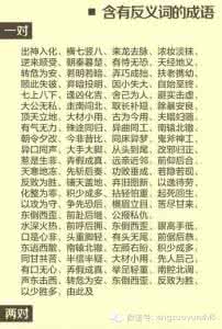 中国成语大会双音节 ★中国大部分成语基本在这里了(双29页版)