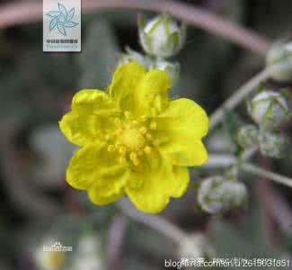 治疗糖尿病的偏方 送一糖尿病偏方！拿出来好心疼哦！ - Qzone日志