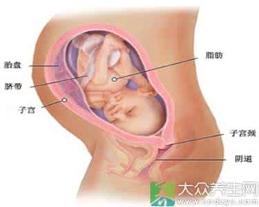 怀孕32周注意事项 怀孕32周 怀孕32周症状及注意事项