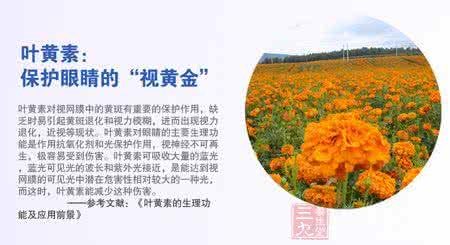 叶黄素与蓝光 蓝光滤波器保护眼睛 蓝光在作祟 叶黄素对眼睛有保护作用
