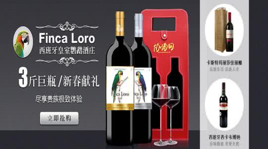 vi品牌形象设计 Gatusa葡萄酒品牌形象设计
