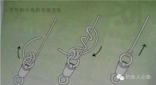 主子线与八字环的连接方法（统一回复）