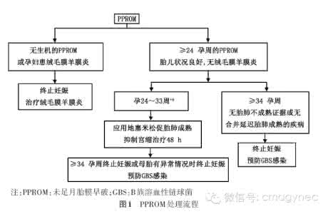 胎膜早破指南 胎膜早破的诊断与处理指南（2015）