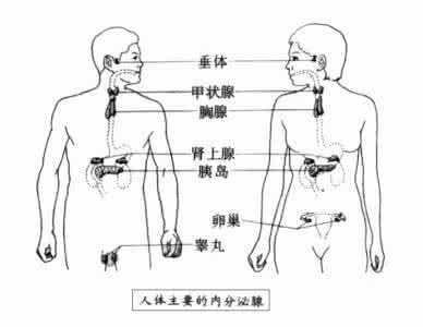 亚健康怎么调节 亚健康:轻度阴阳失调的调节