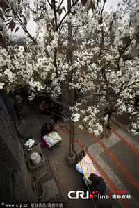 荣国府的最大院落是 【引用】中国最大私家院落探秘（图文故事）