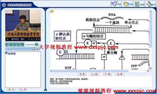 大学生物化学视频教程 大学生物化学视频教程（下部）