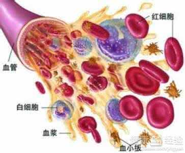 再生障碍性贫血 再生障碍性贫血 正确认识再生障碍性贫血