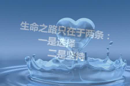 生命之路 引用 生命之路只在于两条：一是选择，二是坚持