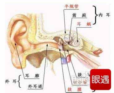 身体本能反应 清血管方 还原身体本能