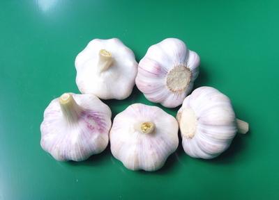 生大蒜的功效与作用 生大蒜有什么功效与作用