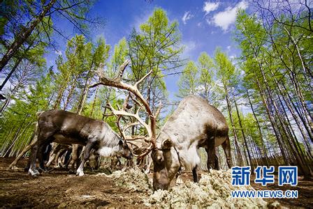 黑龙江旅游景点 世界旅游景点（中国篇）-中国黑龙江