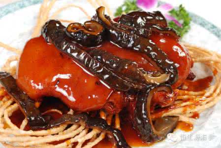 海参菜品   海参菜品制做诀窍