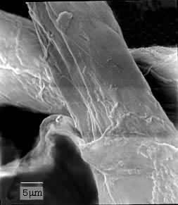 纤维素及其衍生物 纤维素衍生物