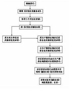 新二胎准生证办理流程 二胎准生证办理流程 二胎准生证办理流程_二胎准生证办理流程