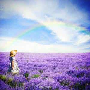 不亏待每一份热情 不亏待每一份热情，也绝不讨好任何的冷漠